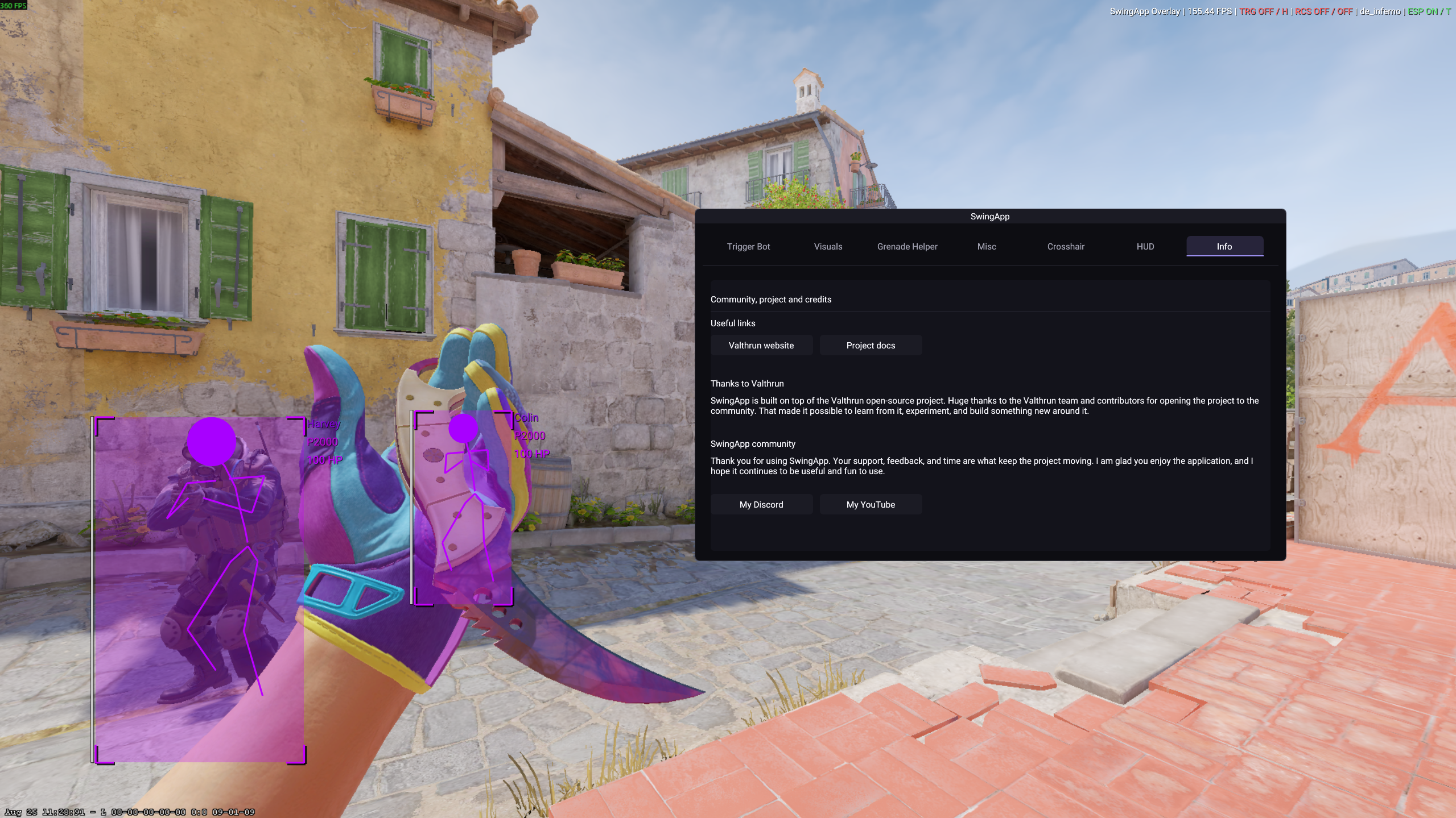 SwingApp overlay in game